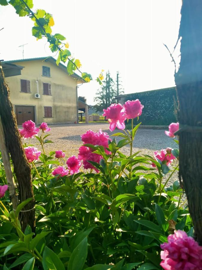 Corte Ohana Monteforte dʼAlpone エクステリア 写真