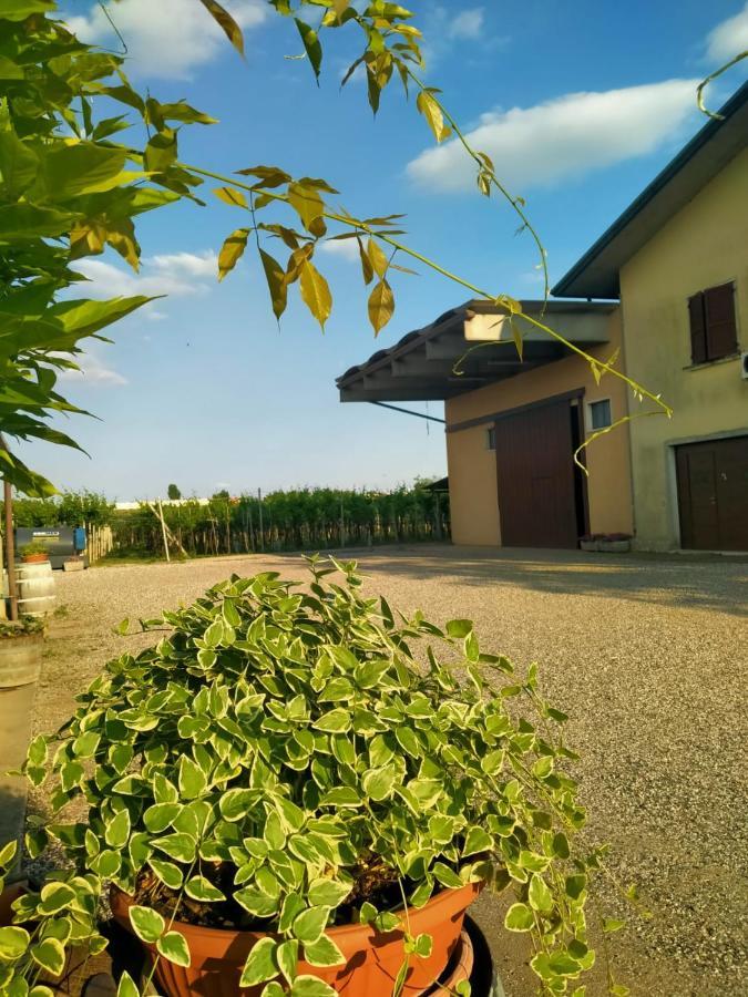 Corte Ohana Monteforte dʼAlpone エクステリア 写真