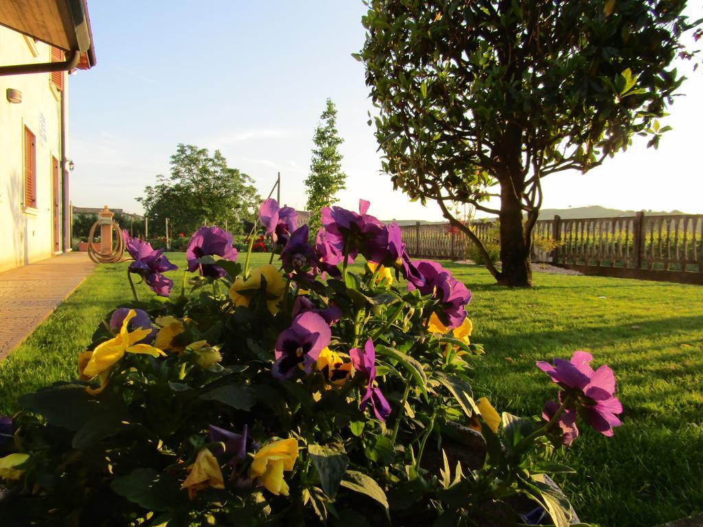 Corte Ohana Monteforte dʼAlpone エクステリア 写真